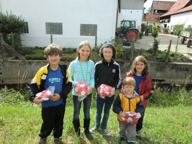 Schmugglerfest-Kinderprogramm mit der GS Leimersheim (19. Jun 11)  Kerstin Schröfel fr Messdiener Leimersheim